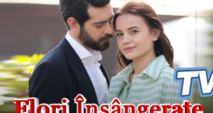 Flori Insangerate episodul 391 online Subtitrat in Romana